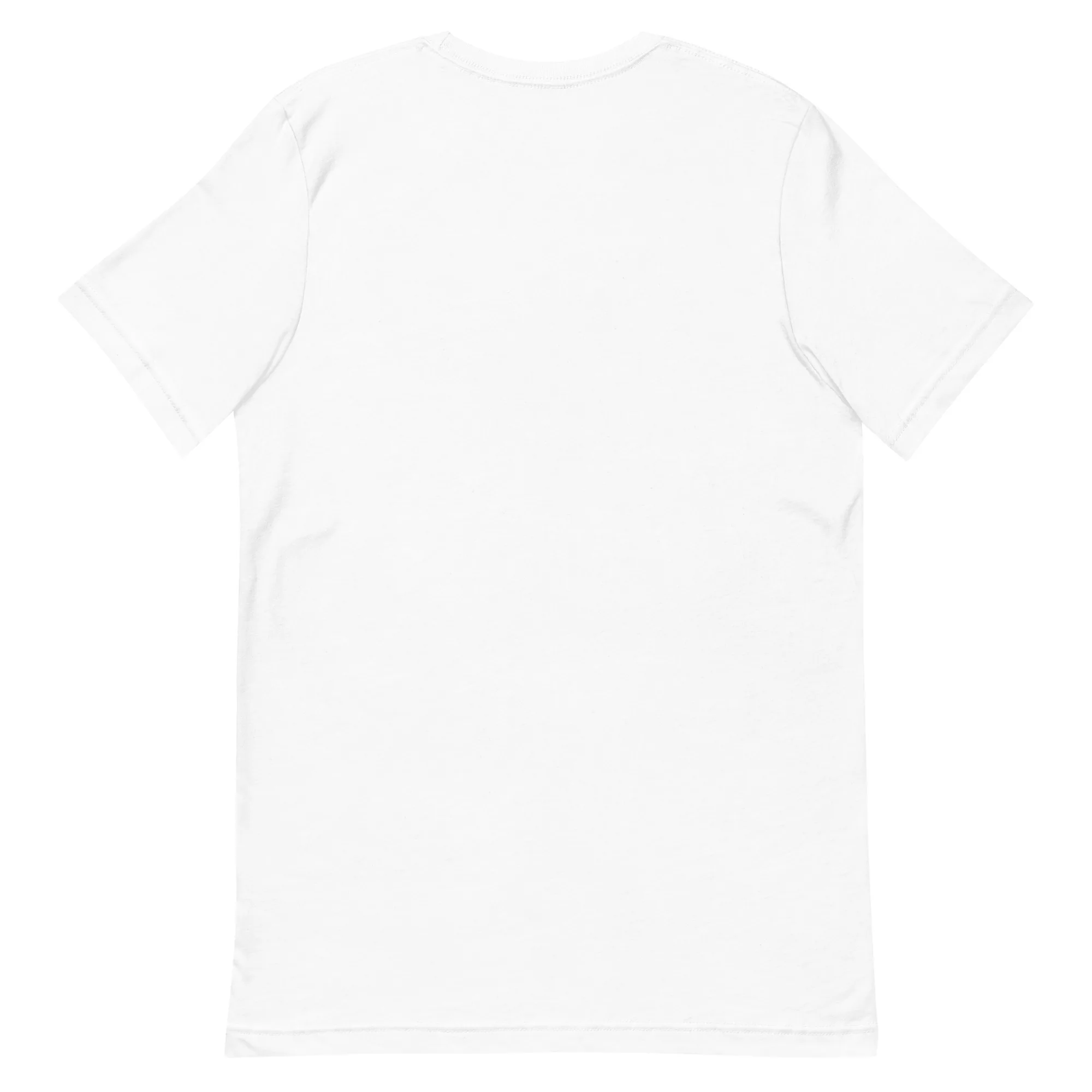 Thirteen Moons Turtle Tee thumbnail, Back